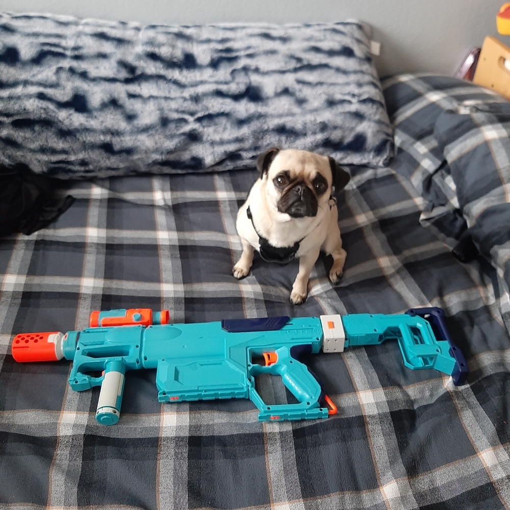 Blue nerf assault rifle elite 2.0 lock n load pack